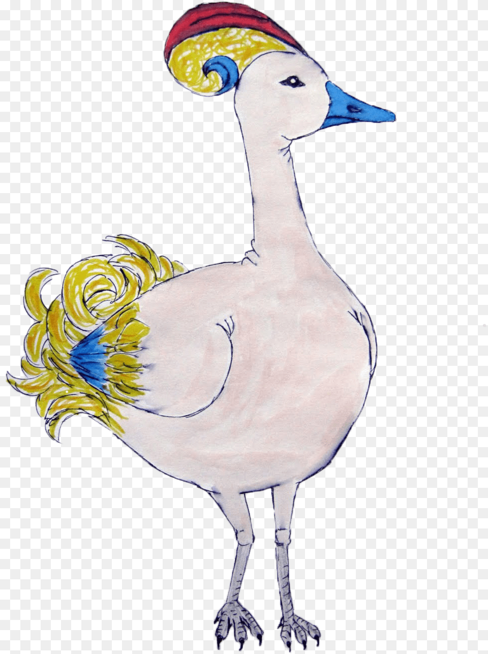 Dodo Bird, Animal, Anseriformes, Waterfowl Free Png