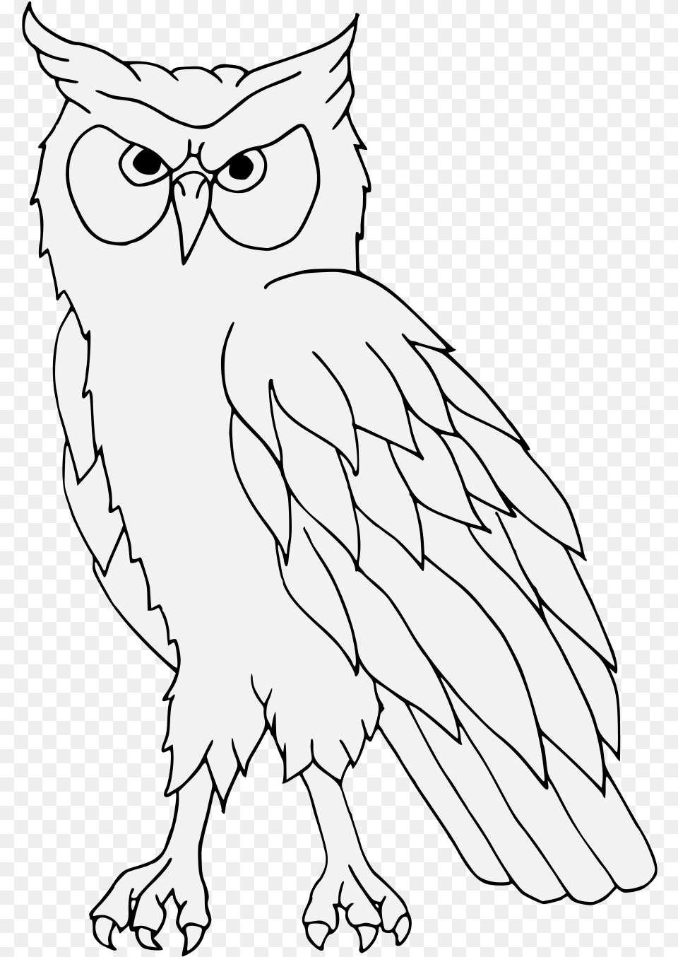 Owls, Baby, Person, Accessories, Glasses Free Png