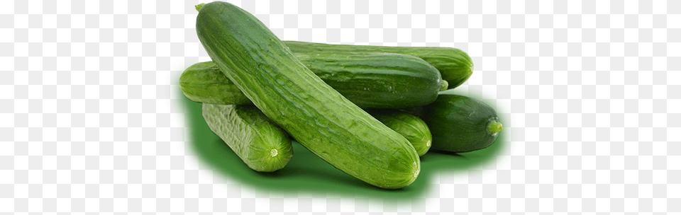 Pepino, Cucumber, Food, Plant, Produce Free Png Download