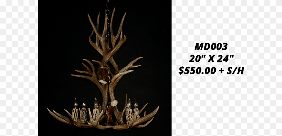 295 9041 Call Today Antlers By Cody, Antler, Chandelier, Lamp Free Png