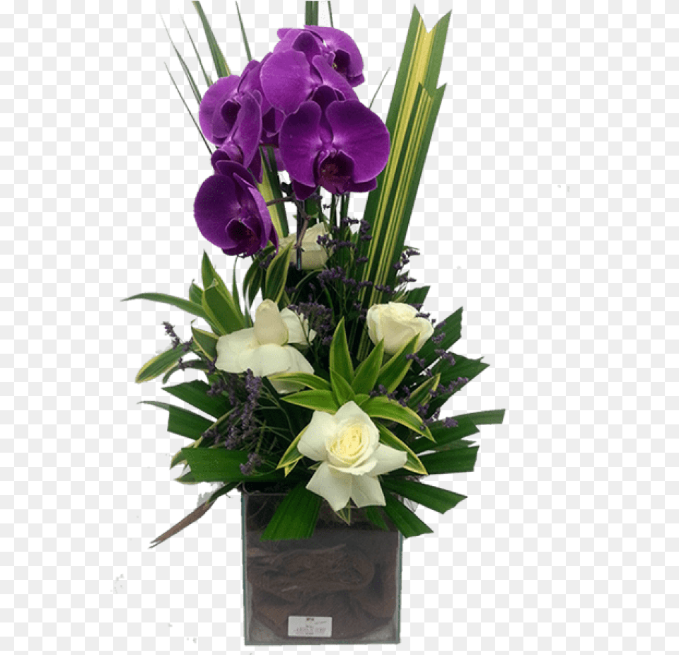 Orquideas, Plant, Flower, Flower Arrangement, Flower Bouquet Free Png Download
