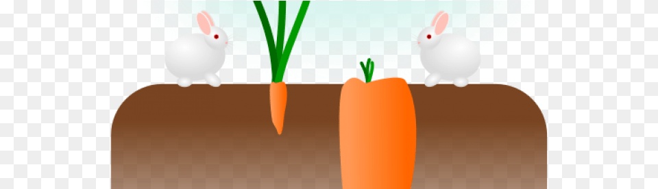 Carrot, Animal, Food, Mammal, Plant Png