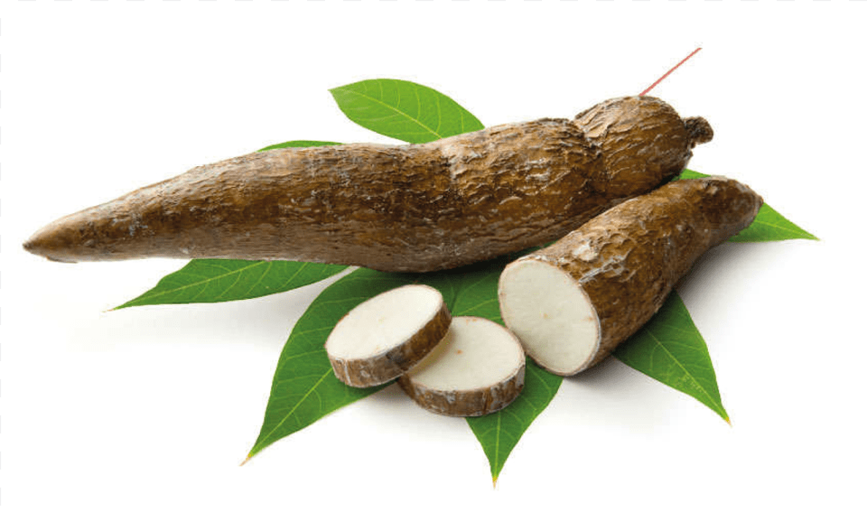 Yuca, Leaf, Plant, Food, Produce Png