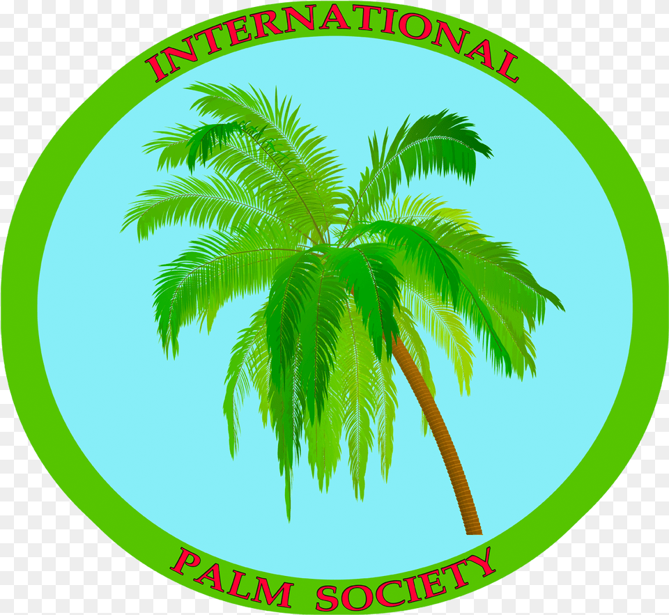 3 Coconut Tree 1280x1126 Clipart Coconut Tree, Vegetation, Summer, Plant, Palm Tree Free Png Download