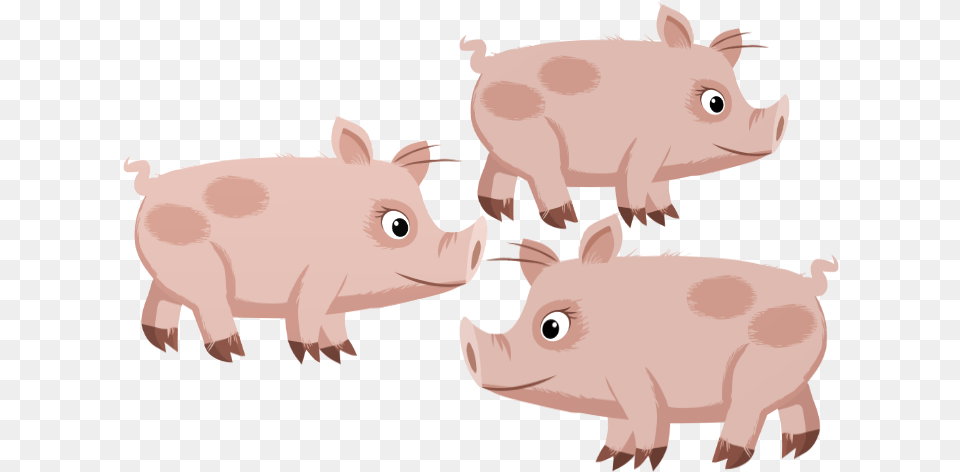 3 Little Pigs, Animal, Boar, Hog, Mammal Png