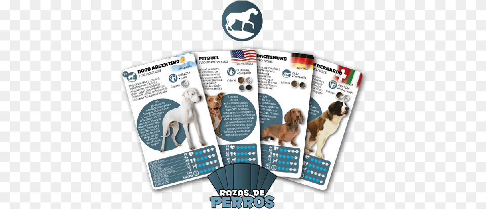 3 Networking Cables, Advertisement, Poster, Animal, Canine Png Image