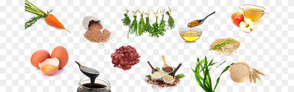 Ingredients, Herbs, Plant, Herbal, Food Free Png Download