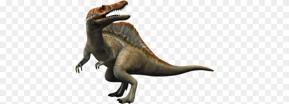 Spinosaurus, Animal, Dinosaur, Reptile, T-rex Png