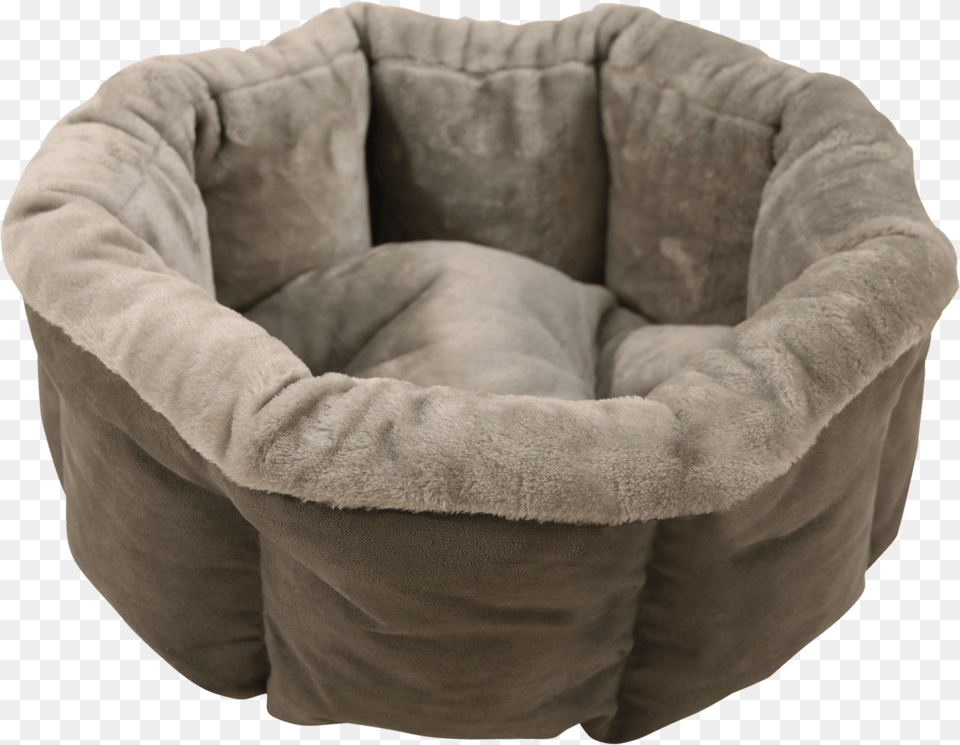 Dog Bed, Cushion, Home Decor, Furniture, Baby Free Png Download