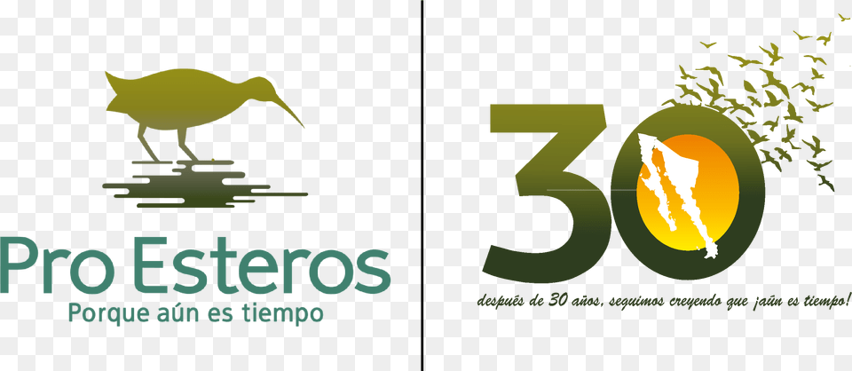 30th Anniversary Of Pro Esteros A Vertical, Animal, Beak, Bird, Kiwi Bird Png