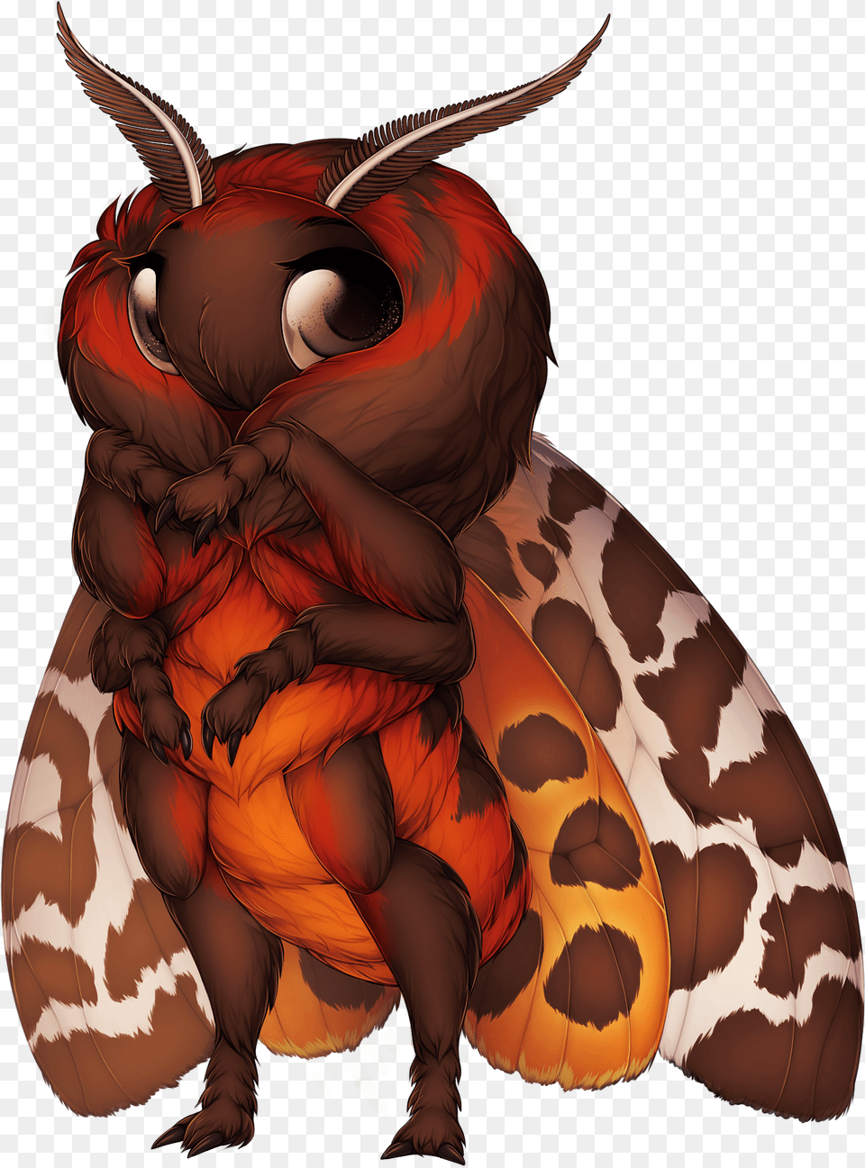 31 Garden Tiger Garden Tiger Moth, Baby, Person, Animal, Butterfly Png Image