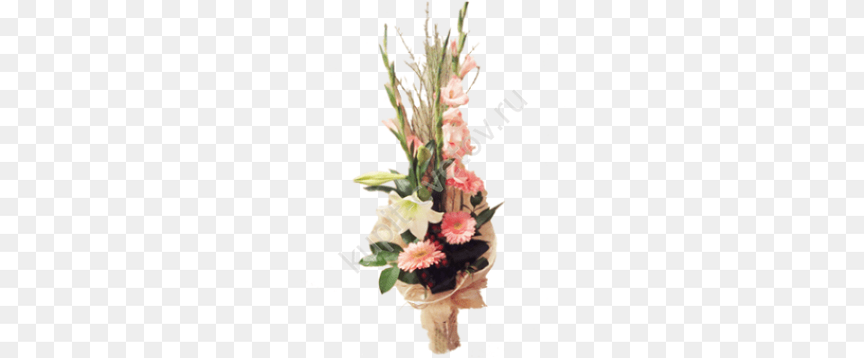 Gladiolus, Art, Flower, Flower Arrangement, Flower Bouquet Free Png Download