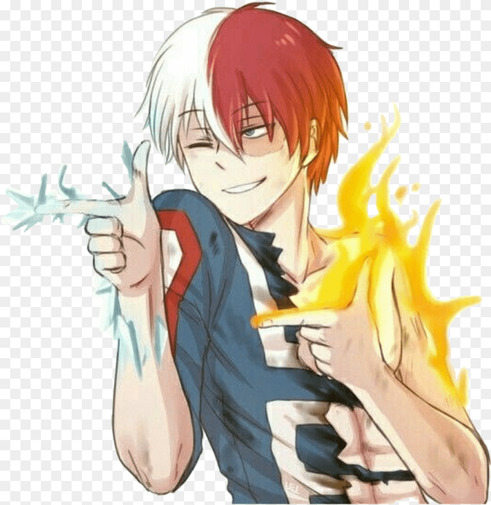 Todoroki, Publication, Book, Comics, Adult Png Image