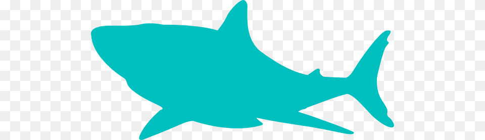 Shark Clipart, Animal, Sea Life, Fish Free Png