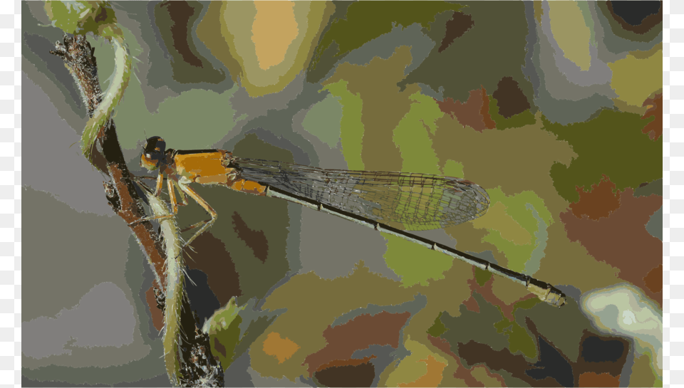 Dragonfly Silhouette, Animal, Insect, Invertebrate Png