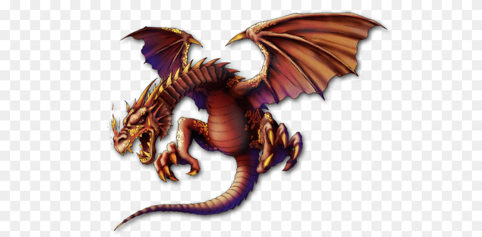 Wyvern, Dragon, Baby, Person, Animal Free Transparent Png
