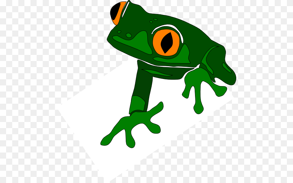 Wednesday Frog, Amphibian, Animal, Wildlife, Kangaroo Png