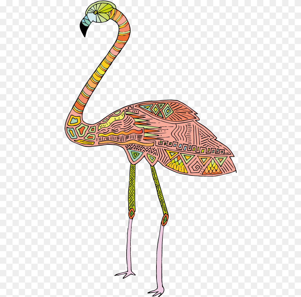 Flamingo, Animal, Bird Free Png