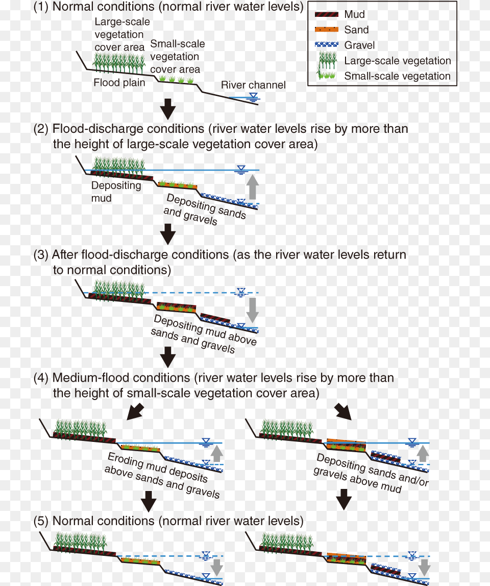 34 Conceptual Model For The Redeposition And Transport Conceptual Model, Brush, Device, Tool Free Png