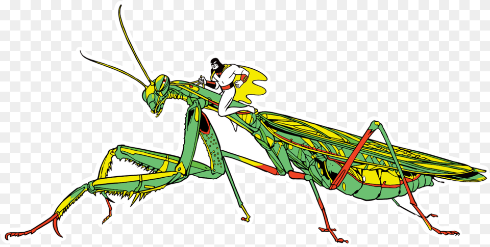 Space Ghost, Animal, Grasshopper, Insect, Invertebrate Png