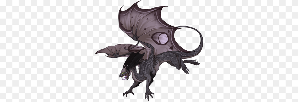 350 Dragons, Dragon, Person Png