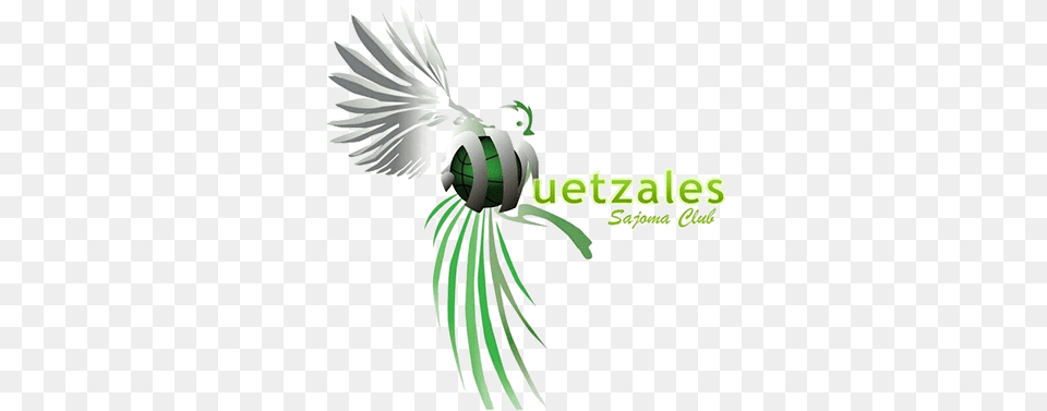 Quetzal, Animal, Bird, Flying, Green Png