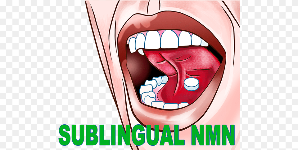 Long Tongue, Body Part, Mouth, Person, Teeth Png