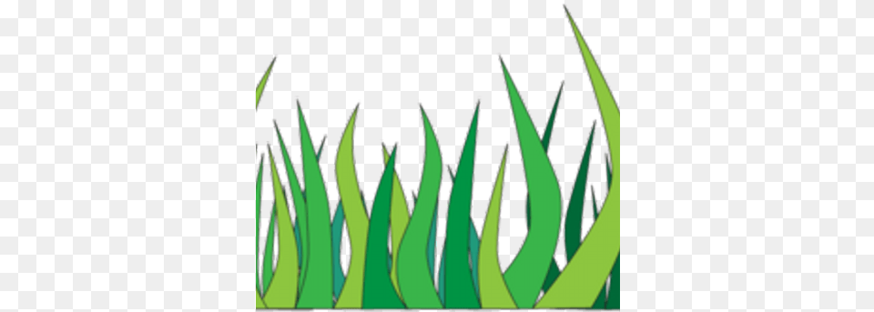 Gress, Aloe, Plant, Grass Free Png