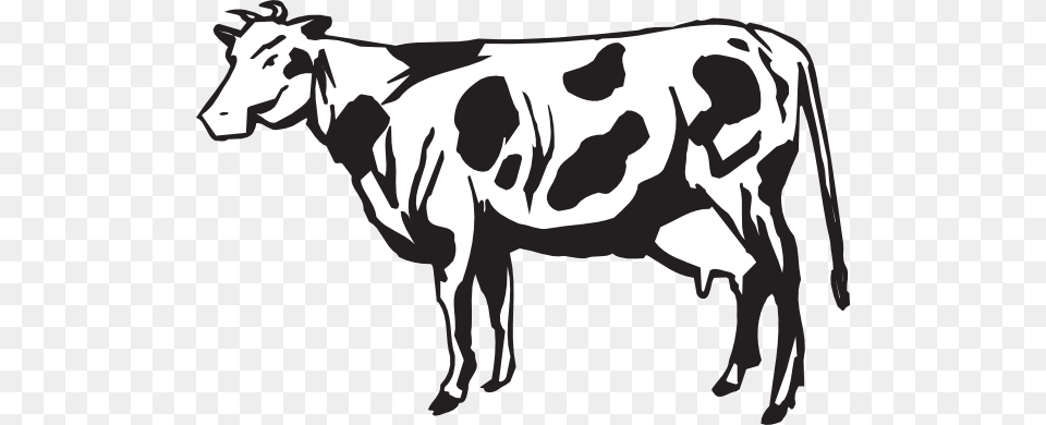 Cow Hd, Animal, Cattle, Dairy Cow, Livestock Png Image