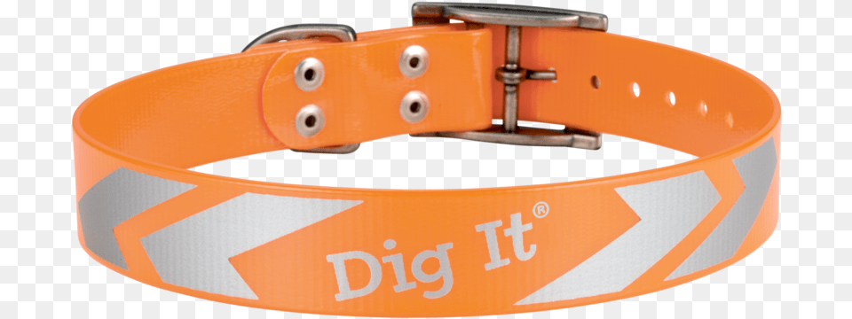 Dog Belt, Accessories, Collar, Bracelet, Jewelry Png