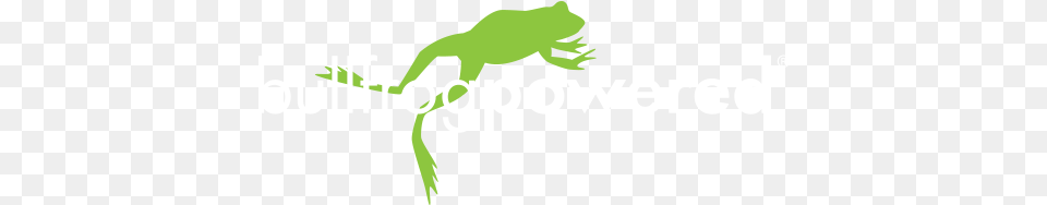 Rejected, Animal, Iguana, Lizard, Reptile Free Png Download