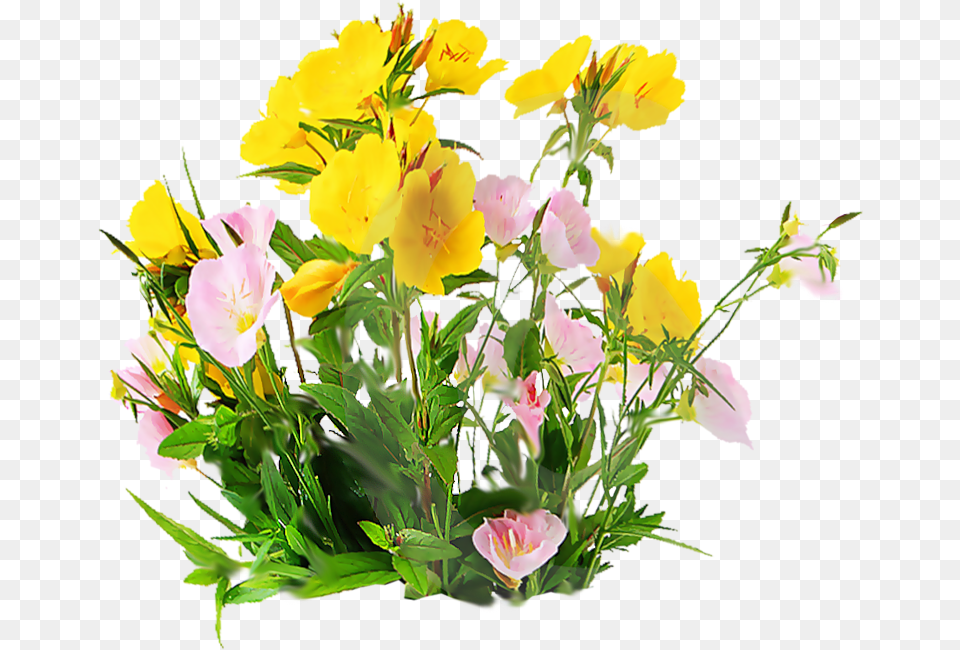 Flowers Buke, Flower, Flower Arrangement, Flower Bouquet, Plant Png