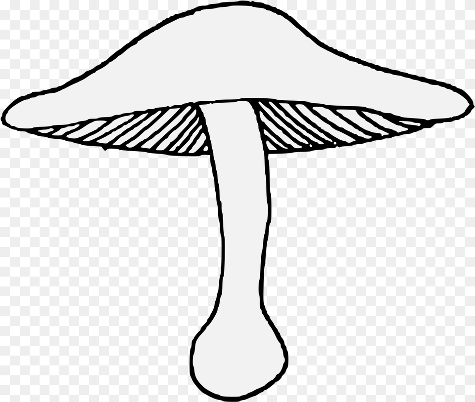 Mushroom, Adult, Female, Person, Woman Png