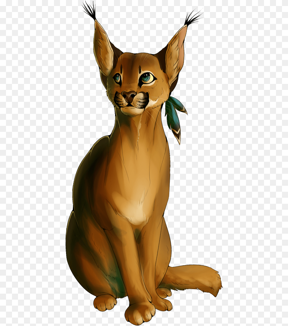 Caracal, Abyssinian, Animal, Cat, Mammal Png Image