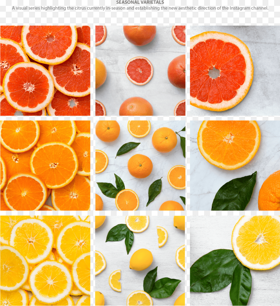 Sunkist Logo, Citrus Fruit, Food, Fruit, Grapefruit Png