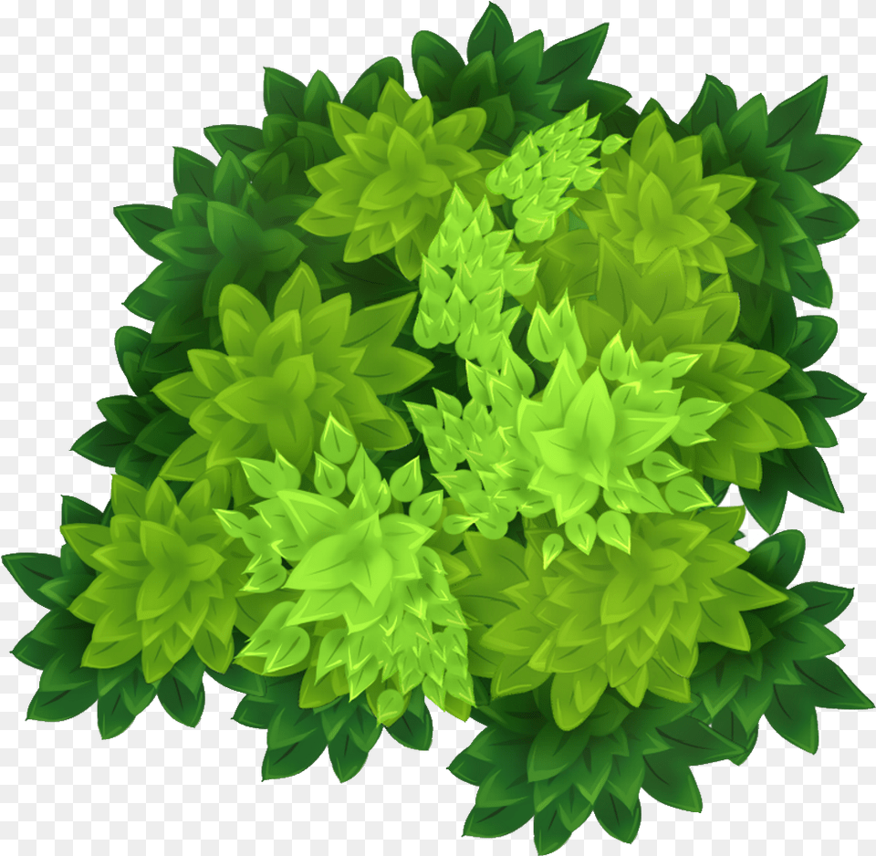 Cool Pattern, Leaf, Plant, Green, Moss Free Transparent Png
