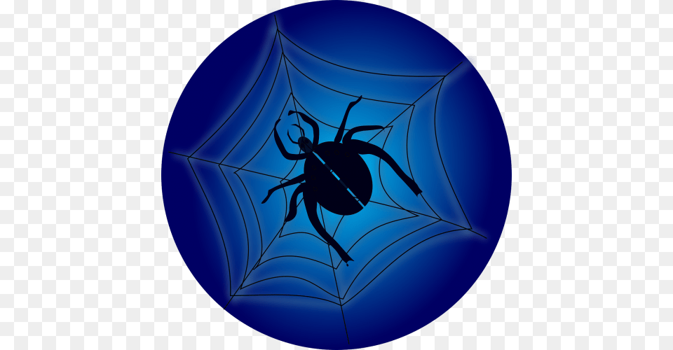 Cobweb Texture, Spider Web, Animal, Invertebrate, Spider Png Image
