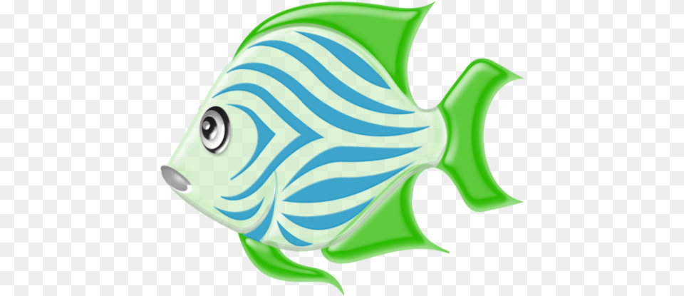 Sea Animals, Animal, Sea Life, Fish, Angelfish Png Image