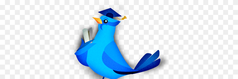 English Class, Animal, Bird, Jay, Bluebird Free Png Download