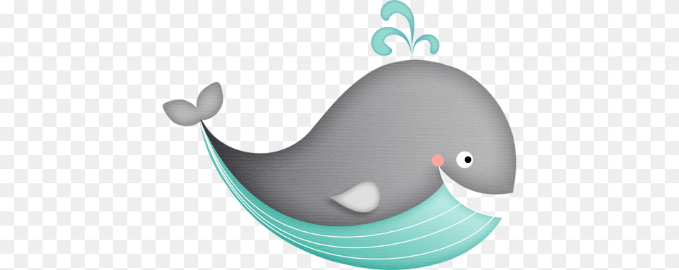 Baby Whale, Animal, Mammal, Sea Life Free Png Download