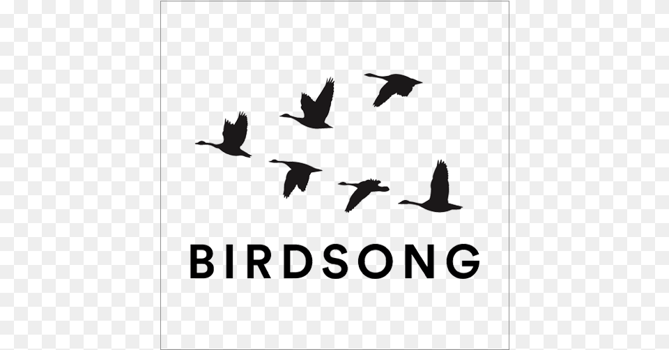 Flock Of Birds Silhouette, Animal, Bird, Flying, Goose Png