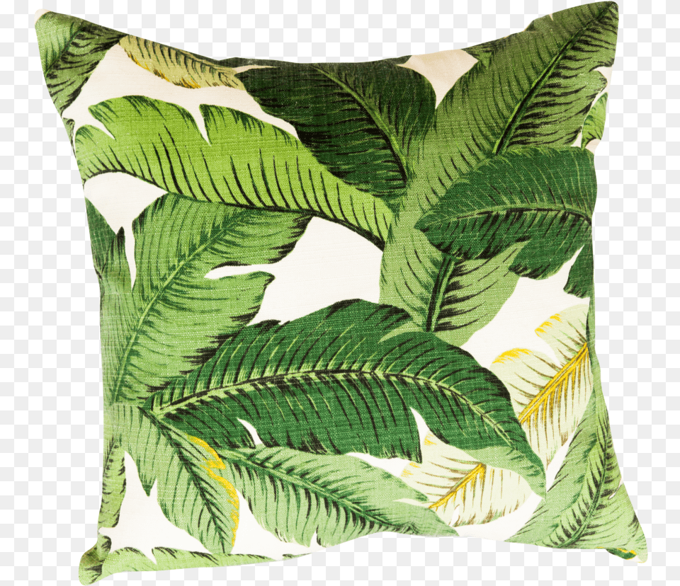 3880 83 Throw Pillow, Cushion, Home Decor, Leaf, Plant Png Image