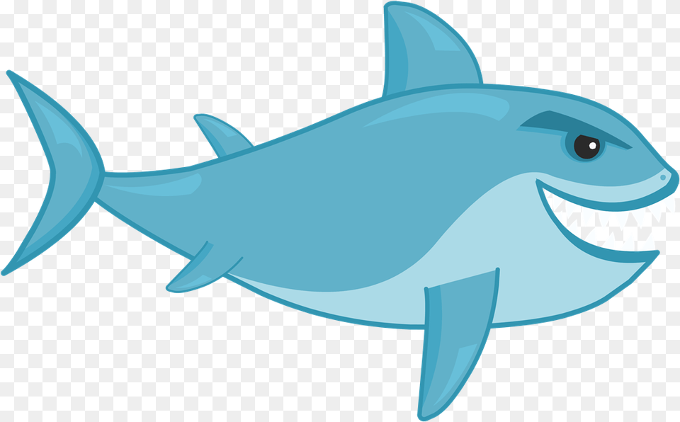 Tiburon, Animal, Sea Life, Fish, Tuna Free Transparent Png