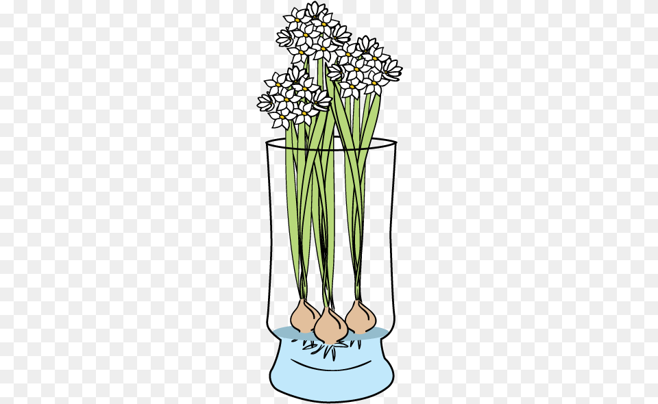 Potted Flowers, Flower, Plant, Flower Arrangement, Daisy Free Png