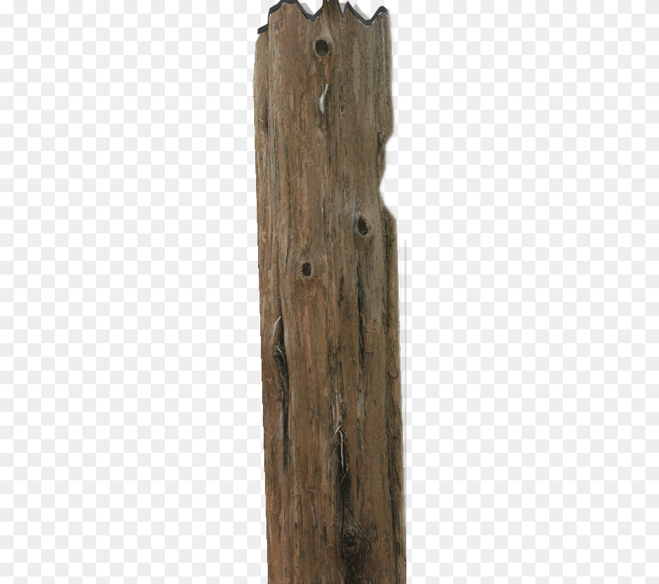 394k Huge Log Lumber, Plant, Tree, Tree Trunk, Wood Free Png