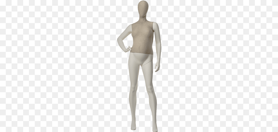 Manikin, Adult, Female, Person, Woman Free Png Download
