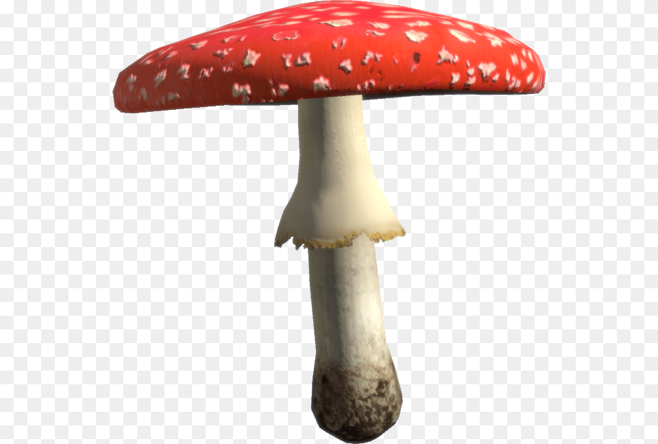 Toadstool, Agaric, Amanita, Fungus, Mushroom Png Image