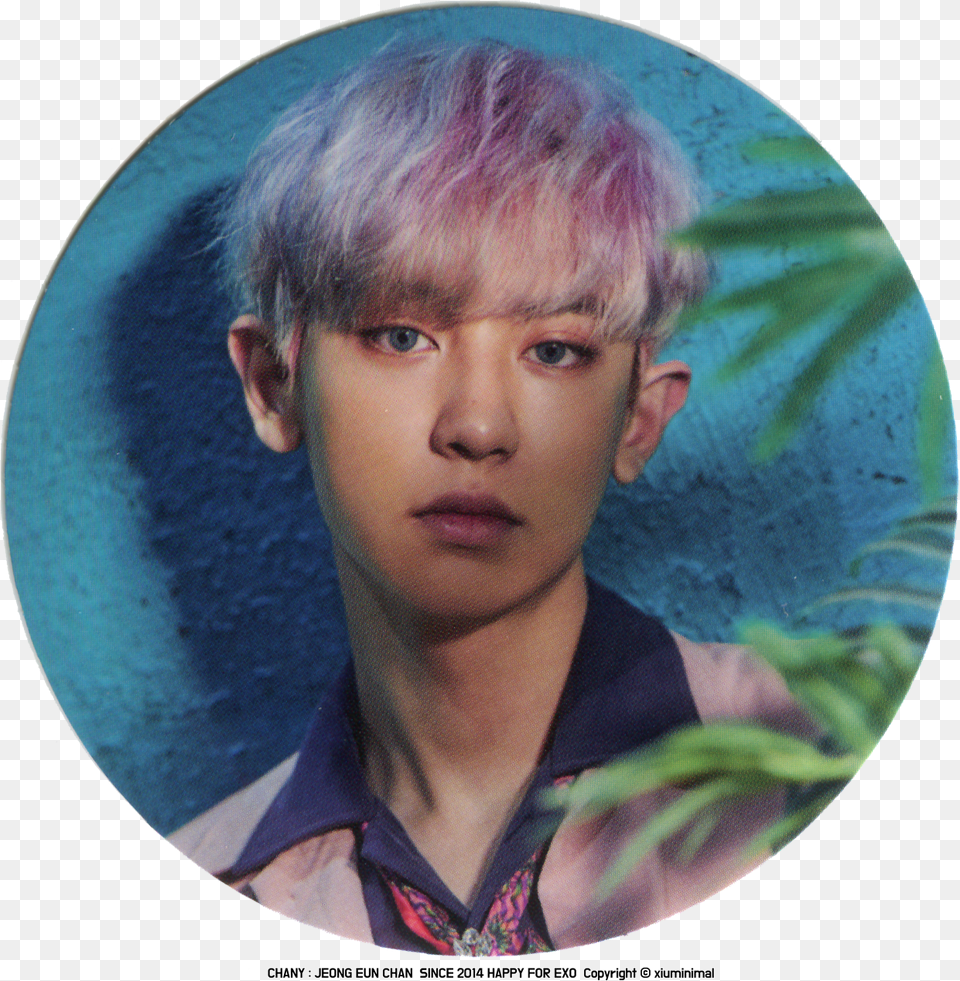 39power39 Merchandise Credit Exo Kokobop Desktop, Boy, Child, Face, Head Free Png Download