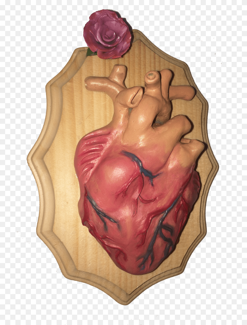 3d Ameerah Singh Anatomical Heart, Flower, Plant, Rose, Face Png Image