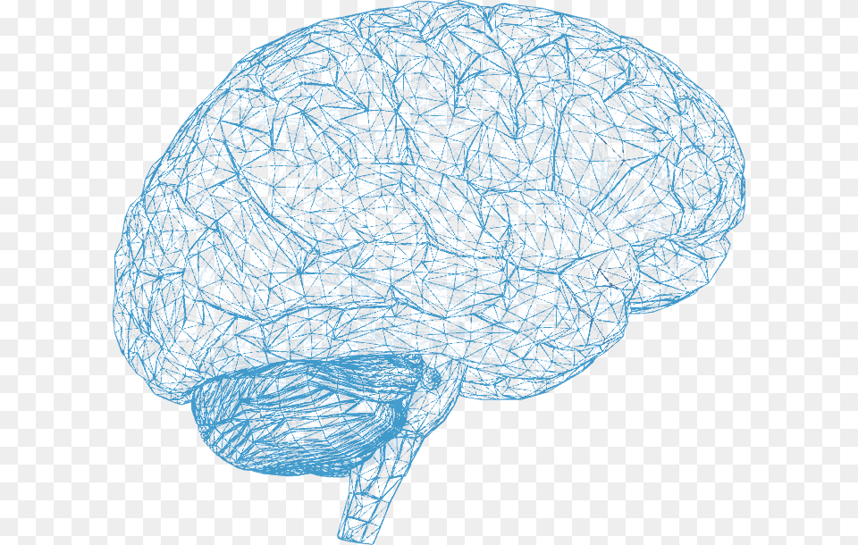 3d Brain Scan Png Image